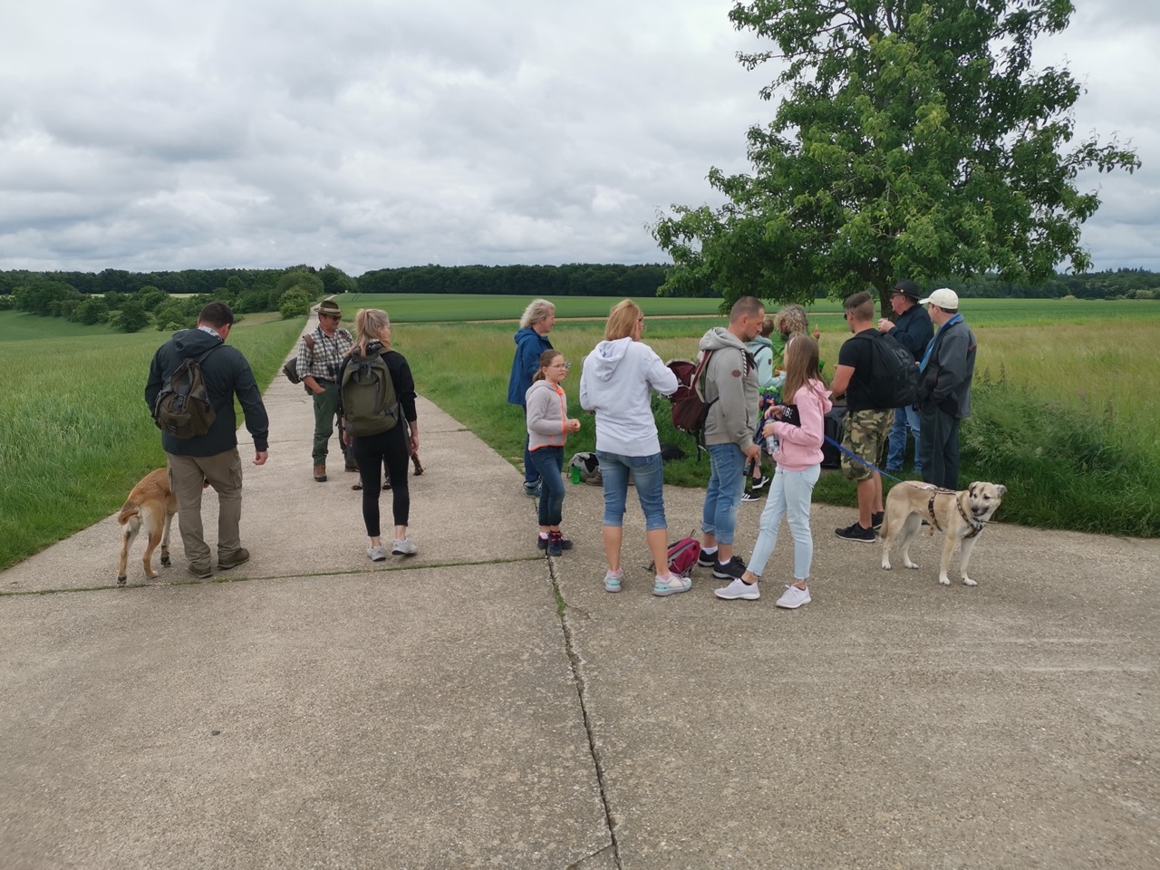 Maiwanderung1 Gro.jpeg